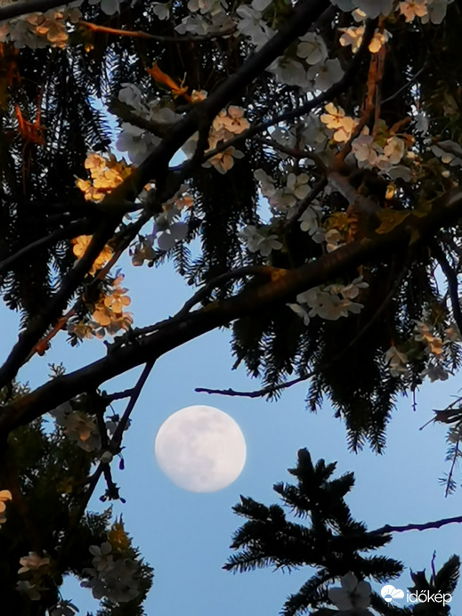 Holdkelte a naplementében...