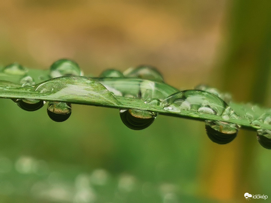 Cseppek...