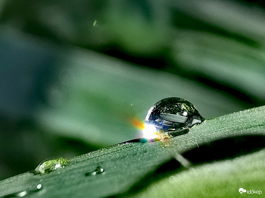 Eső után napsütésben...