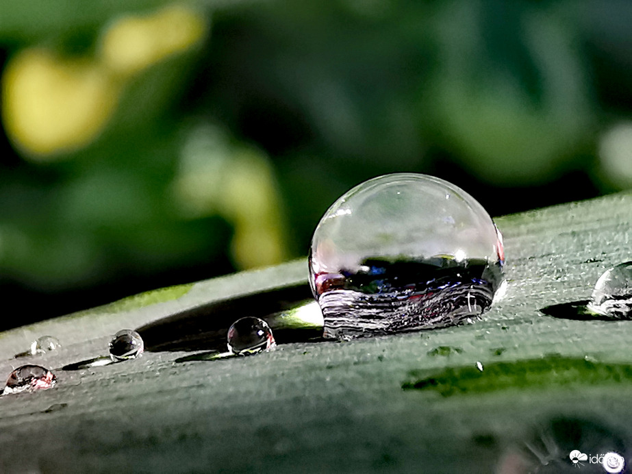 Eső után napsütésben...