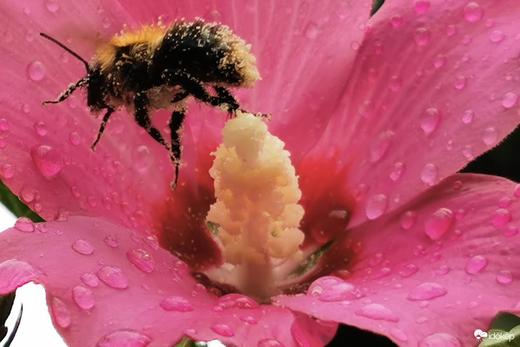 Eshet eső és fújhat szél, de a munka nem áll meg... 