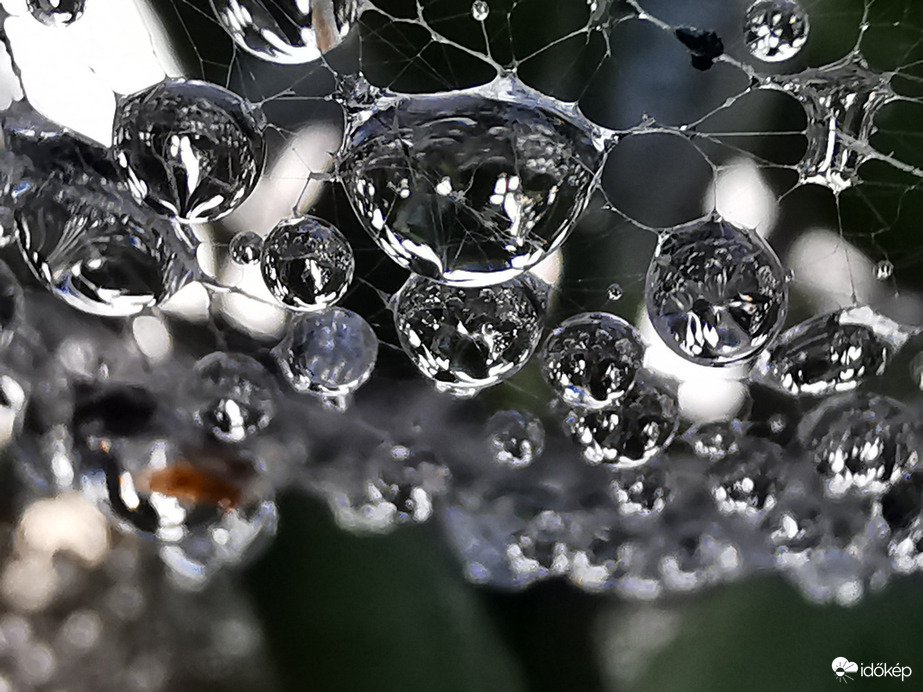 Cseppek a pókhálón...
