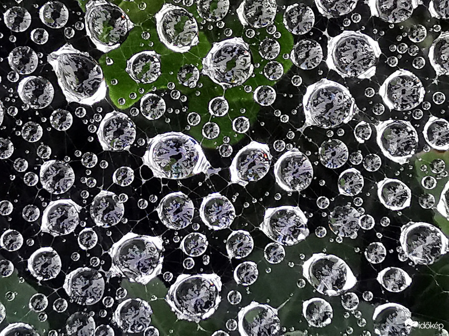 Cseppek a pókhálón...