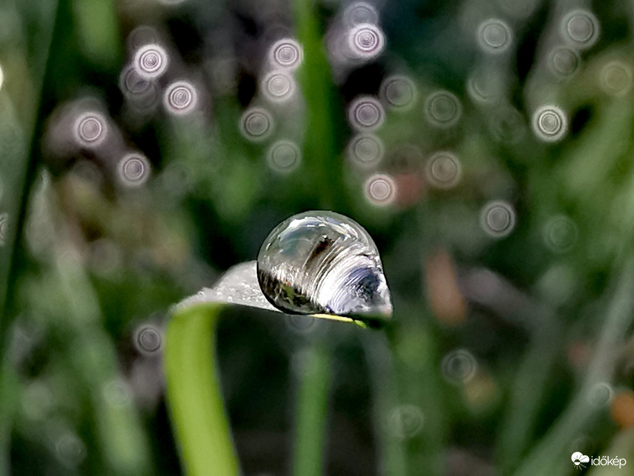 Harmatcseppes... 