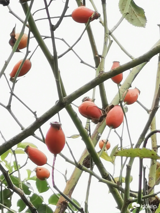 Itt van az ősz...
