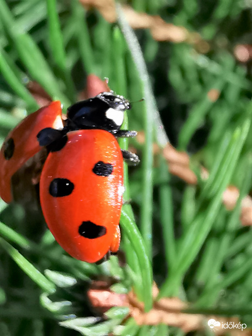 Felszálláshoz készülődve...