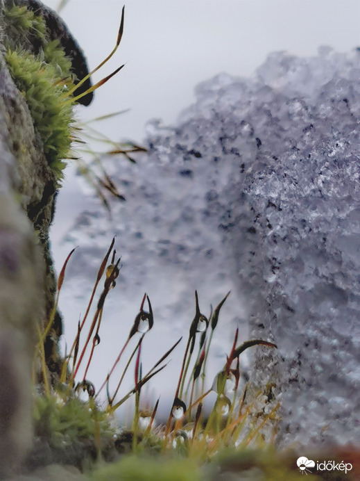 A hó árnyékában...