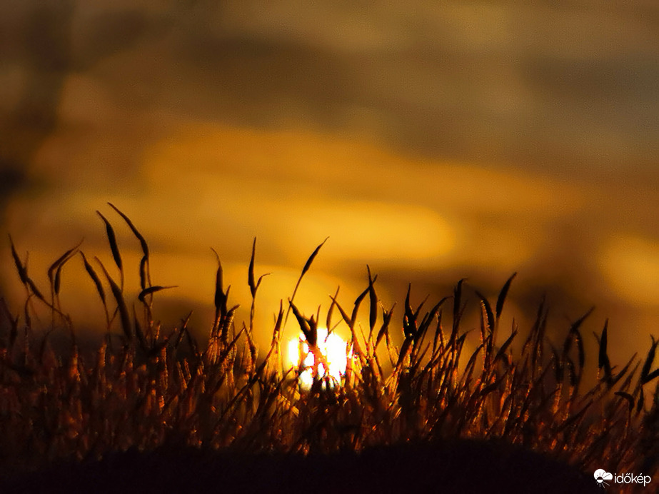 Ma esti naplemente...