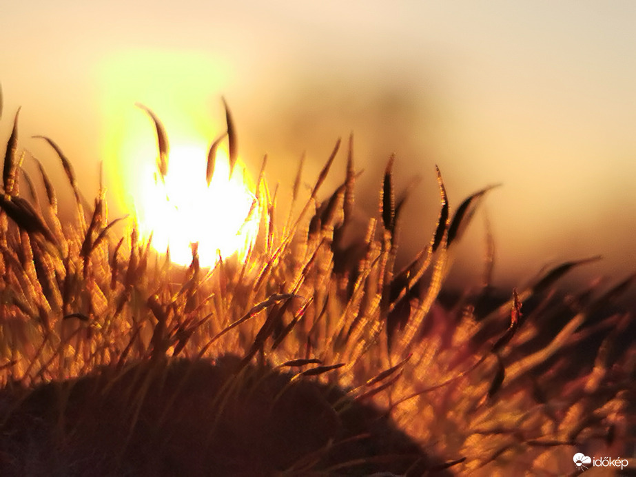 Amit nem tudok megunni... Ma esti lemenő... :)