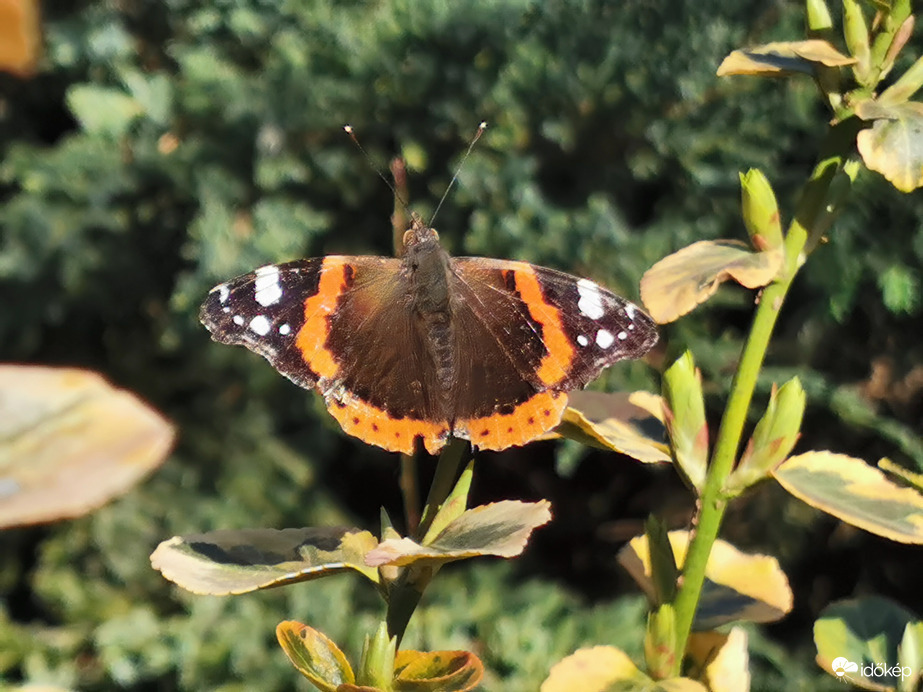 Márciusi napozás...