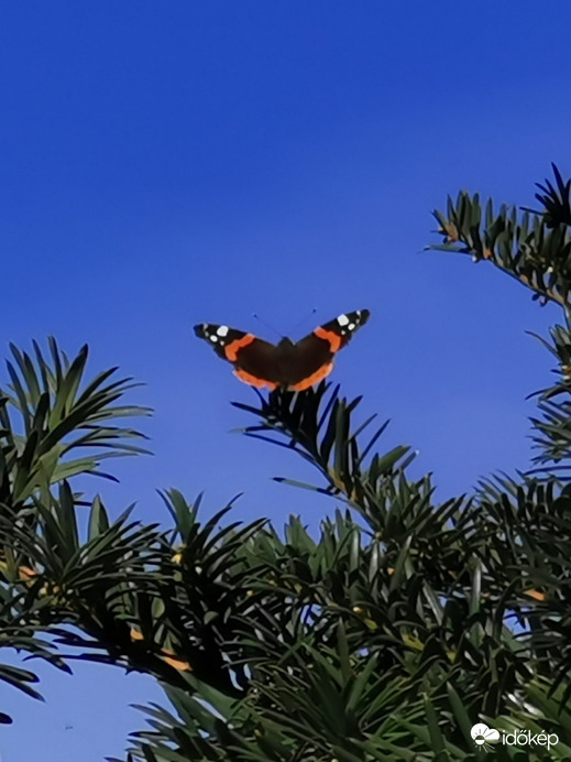 Márciusi napozás...