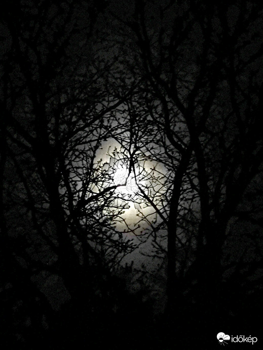 Éjszakai titokzatos...