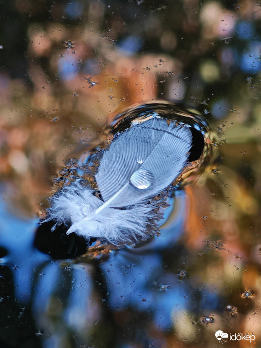 Őszi színes vízreszállás... 