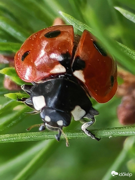 Repüléshez készülődve