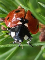 Repüléshez készülődve