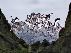 Faágak közt olvadó hó... 