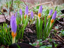 Ők is megérezték a jó időt... 