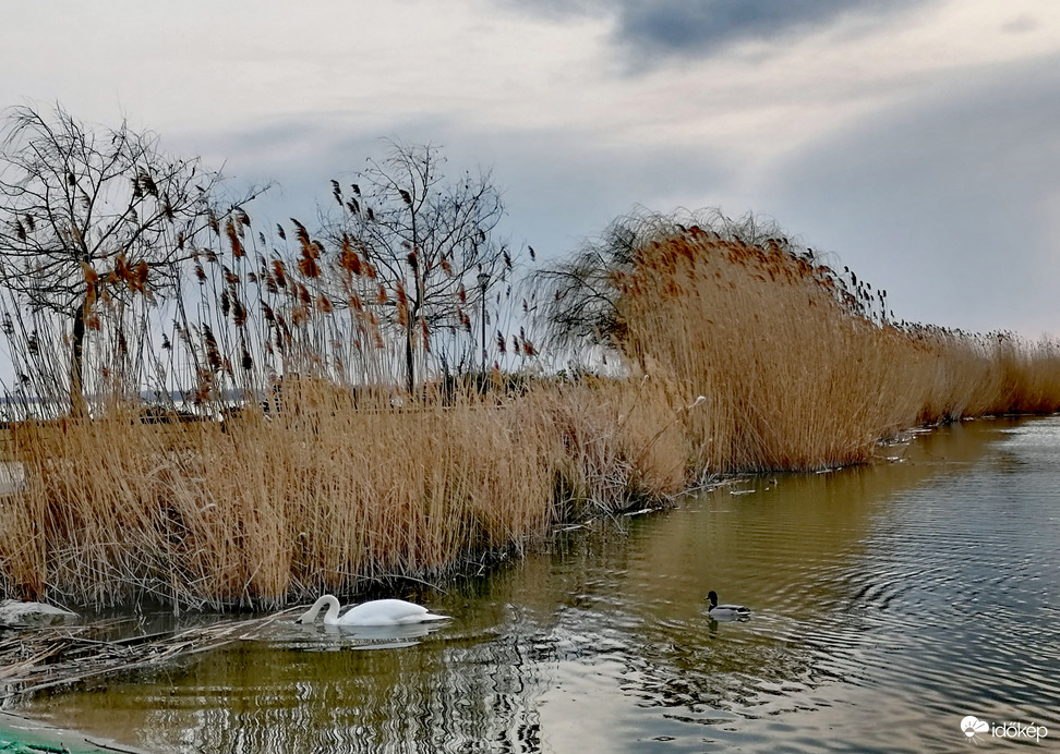 Keszthely - kikötő 3