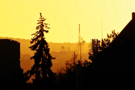 Borostyán 