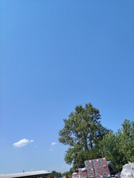 Solymár