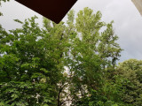 Budapest XIII.ker - Újlipótváros