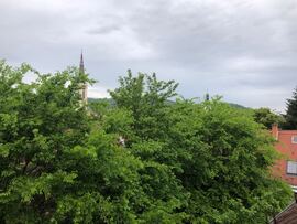 Kőszeg