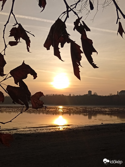 Vadludak a Tatai Öreg -tavon