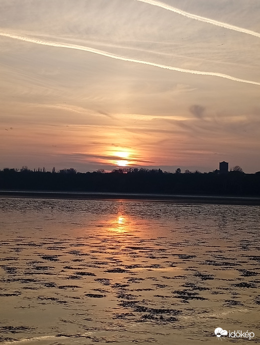 Vadludak a Tatai Öreg -tavon