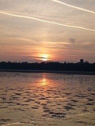 Vadludak a Tatai Öreg -tavon