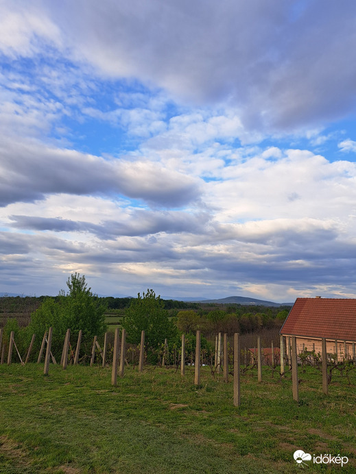 Beregsurány