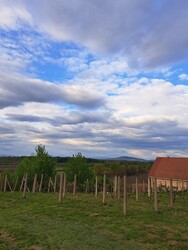 Beregsurány