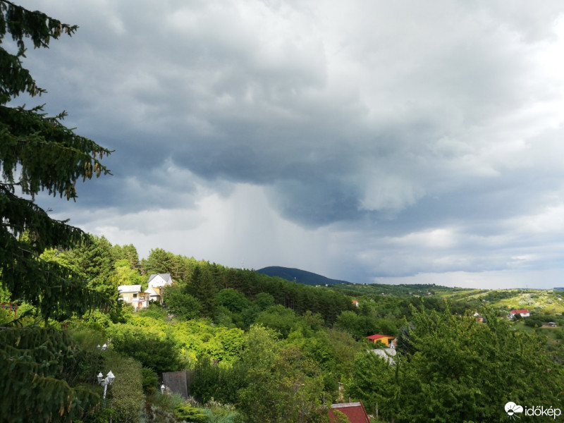 Vác-Nyulas