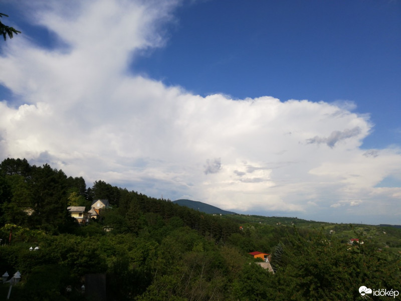Vác-Nyulas