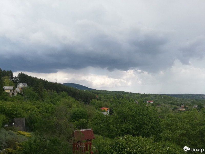 Vác-Nyulas