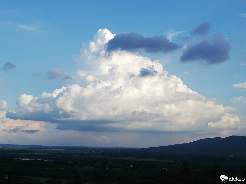 Vác-Nyulas