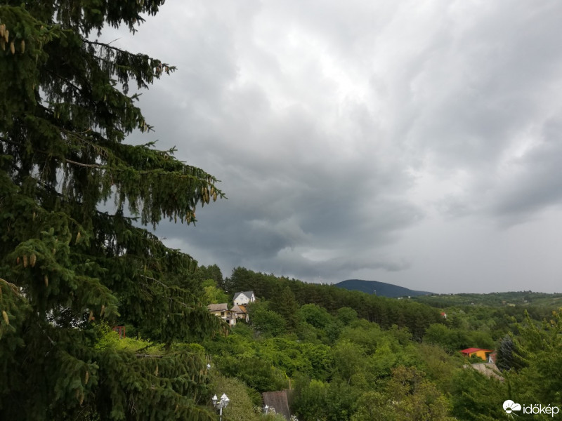Vác-Nyulas