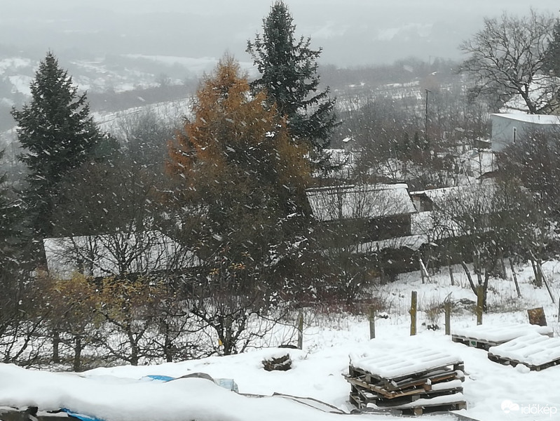 Vác-Nyulas