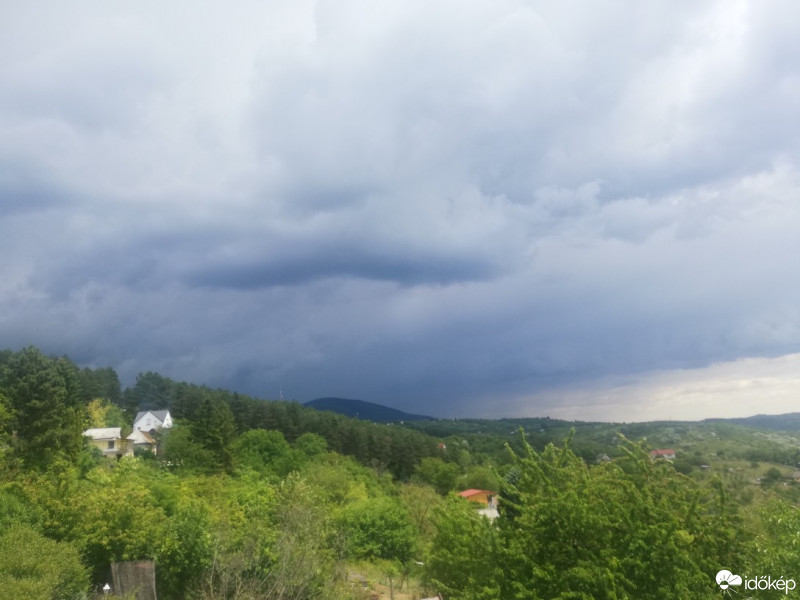 Vác-Nyulas