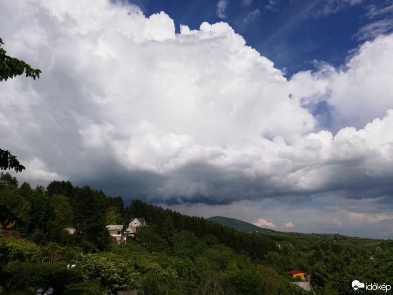 Vác-Nyulas