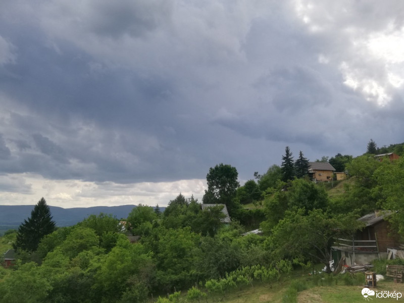 Vác-Nyulas