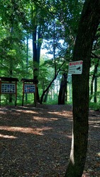 Dr.Hegyi Imre emlékpark