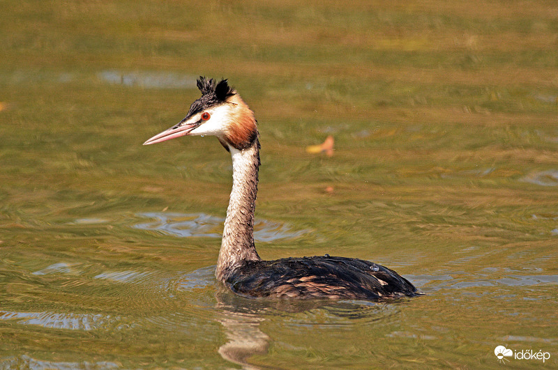 A frizurám nem lett vizes, remélem 