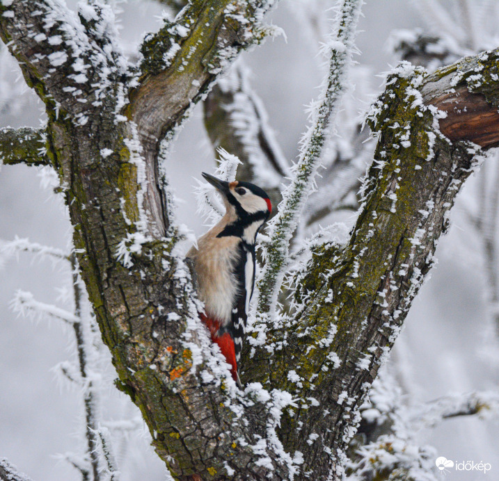 Neki nem számít, hogy hideg van