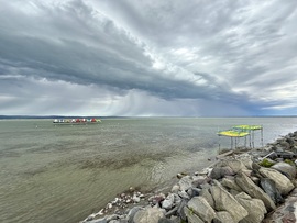 Zamárdi