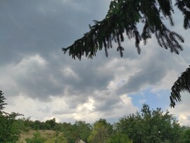 Bekölce