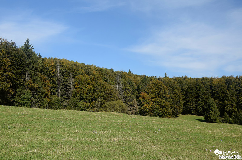 Bánkút II.