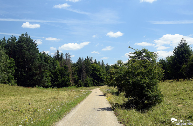 Bodzás.
