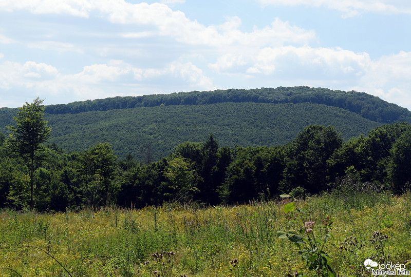 Bükkben VI.
