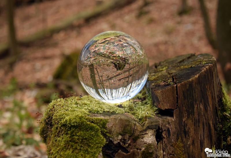 Lensball - Bükkben..