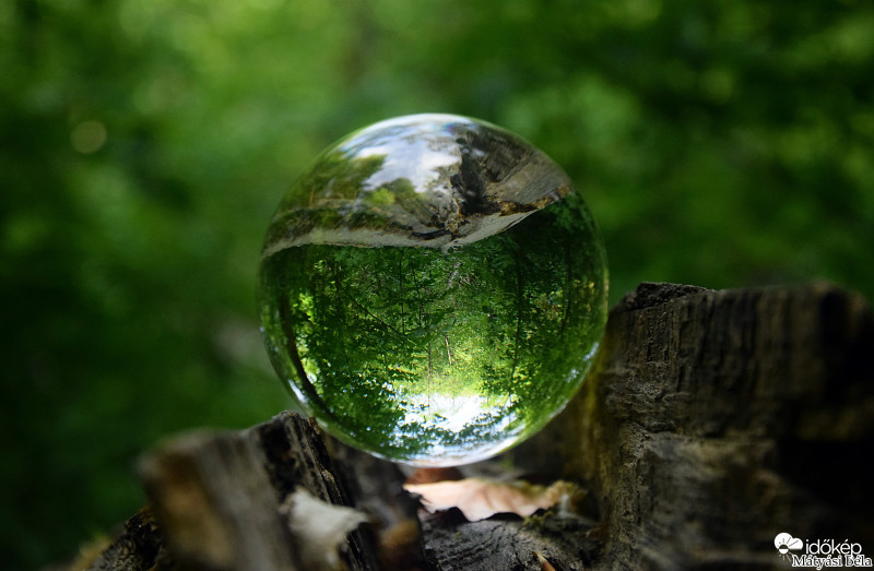 Lensball - Bükkben..